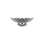 Kiss-Cut Vinyl Decal - Navy - Badge - Enlisted Aviation Warfare Specialist wo txt
